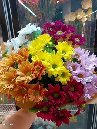 Ramo margaritas mix colores
