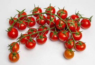 Tomate Cherry de Rama 500 Gr.