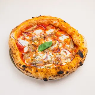 Pizza Ventresca di Tonno