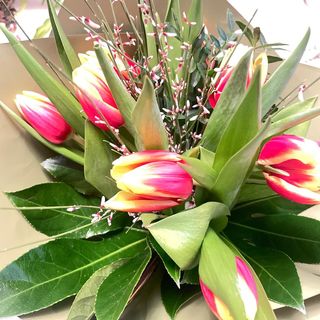 Buchet cu 7 lalele și verdeață