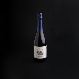 Prosecco extra dry cantina costeselle 11.5%Vol 