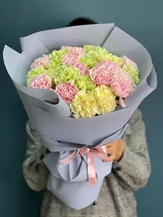 Голландские гвоздики (25 шт.)