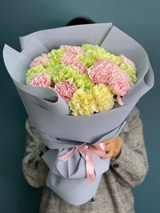 Голландские гвоздики (25 шт.)