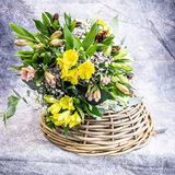 RAMO ASTROMELIAS COLOR MIX