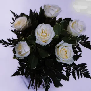 MEDIA DOCENA DE ROSAS BLANCAS