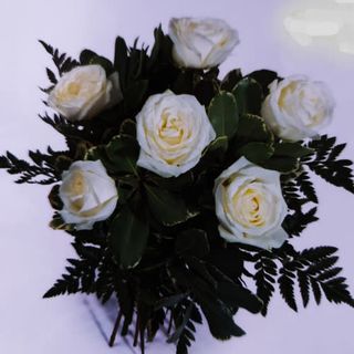 MEDIA DOCENA DE ROSAS BLANCAS