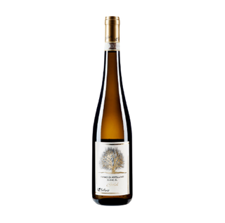 Fiano di Avellino DOCG 2019 Gold