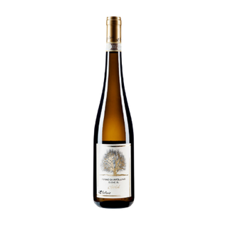 Fiano di Avellino DOCG 2019 Gold