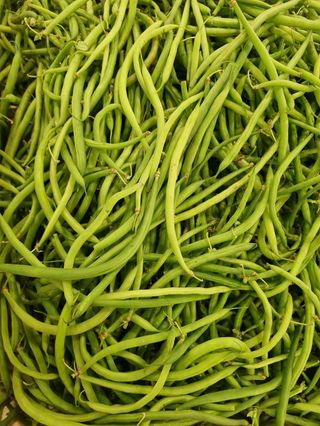 Fagiolini fini 500 g