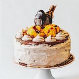 198 Сладоледена торта