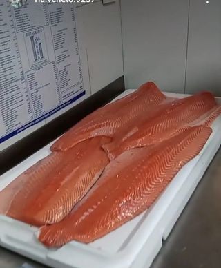Salmón A La Plancha