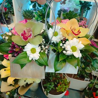 Drvena korpica sa orhidejom