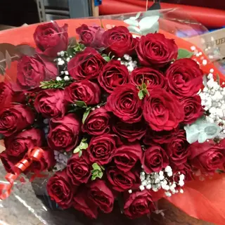 Solo rose rosse piccole M