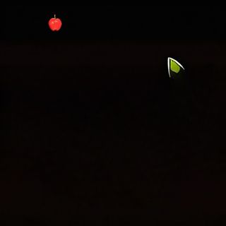 Tagliolini freschi con gamberi e calamari