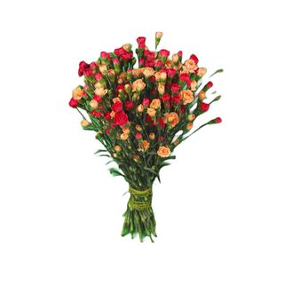 Bukiet z kolorowych goździków 15 szt.