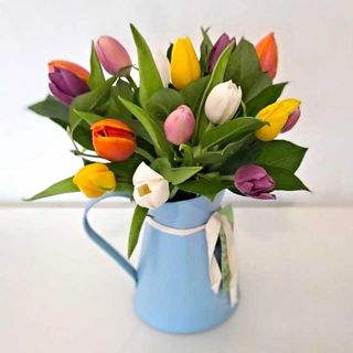 TULIPANES MULTICOLOR “ÁMSTERDAM” CON SU JARRA