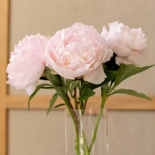Ramo de 3 Peonias rosas