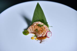 125a Tataki salmone - 5 pezzi