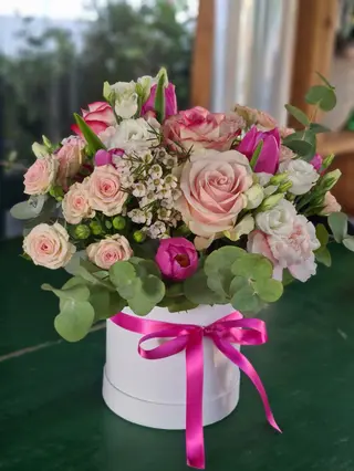 Cappelliera S