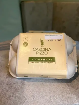 Uova allevate a terra