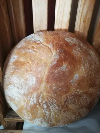 Peka bijela
