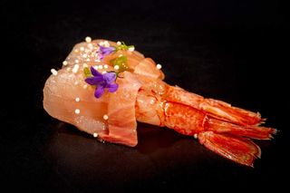 010 Ricciola e amaebi 2 pezzi