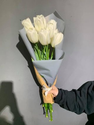 თეთრი ფოლანდიური ტიტები, 10 ტოტი