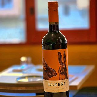 Llebre - Negre - D.O. Costers Del Segre