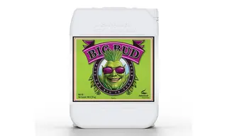 Big Bud 10 ლ