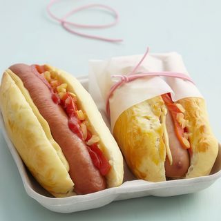 Cachorro a Patrão