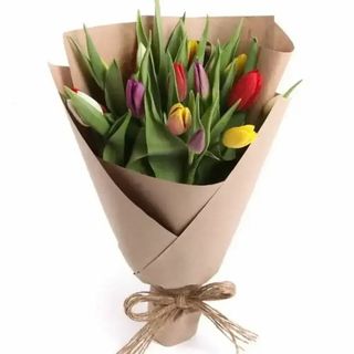 11 różnych tulipanów