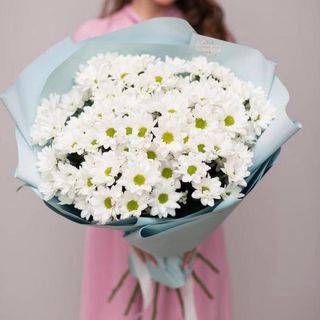 Букет із 11 Хризантем Чік