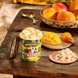 Sweet Mango Memories