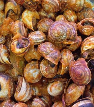 Caracoles En Salsa (300 G.)