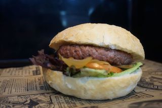 Vegana Sensational Burger Completa (113 G.)
