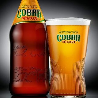 Indian beer cobra