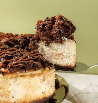Cheesecake Tortuga