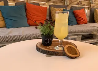 Melon