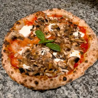 Funghi