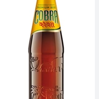 indian beer cobra 660ml