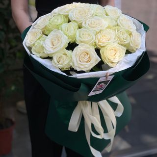 21 біла троянда Аваланч