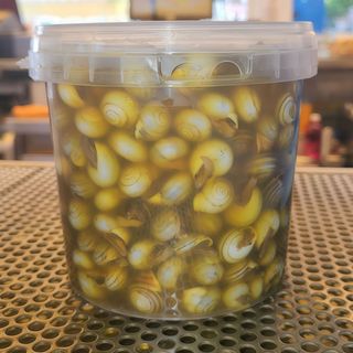 Tarrina grande 12 tazas chicos caldo