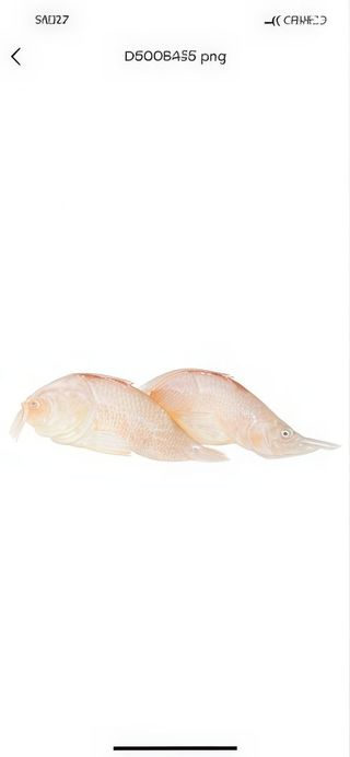 36. Nigiri branzino - 3 pezzi