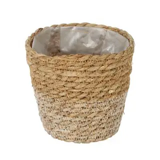 CESTA MIMBRE
