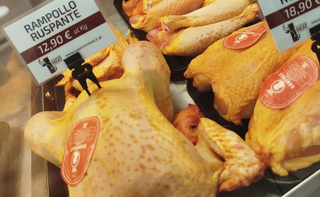 Rampollo biologico cascina piemontese 2.2 kg Ca. 