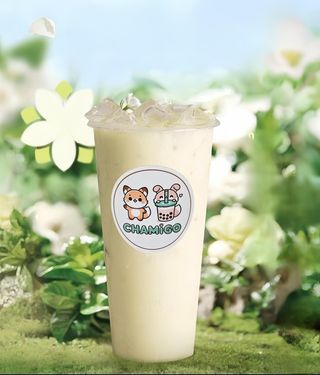 Chá Verde de Jasmim com Leite