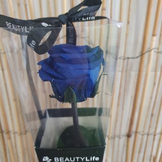 Rosa Preservada Azul forte