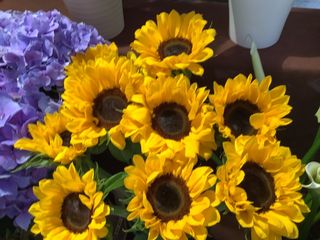 Girasole mazzo grande