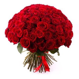 101 Roses (101 trandafiri rosii)