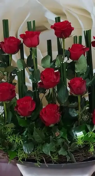 Bateaux de 12 Roses